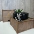 Женский кожаный поясной ремень змея из натуральной кожи YSL в стиле змеи Серебро