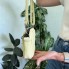 Маленькая женская кожаная сумочка клатч яркая мини сумка на плечо